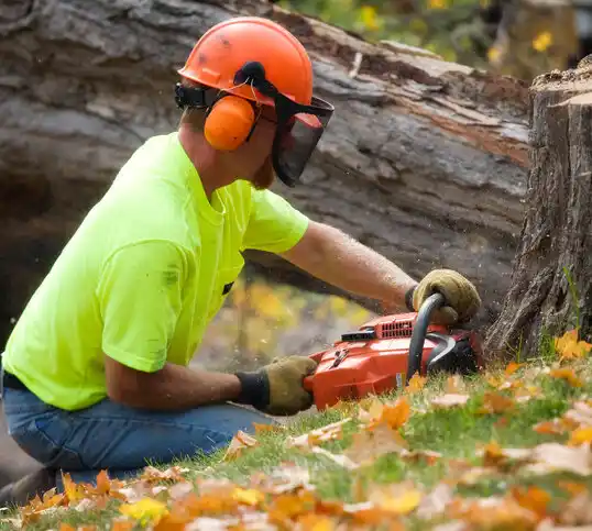 tree services Cotton Valley